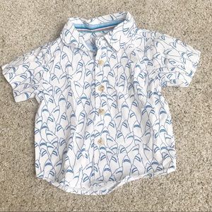 Shark collared shirt